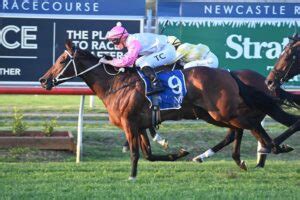 tibbie stakes betting|2023 Tibbie Stakes .